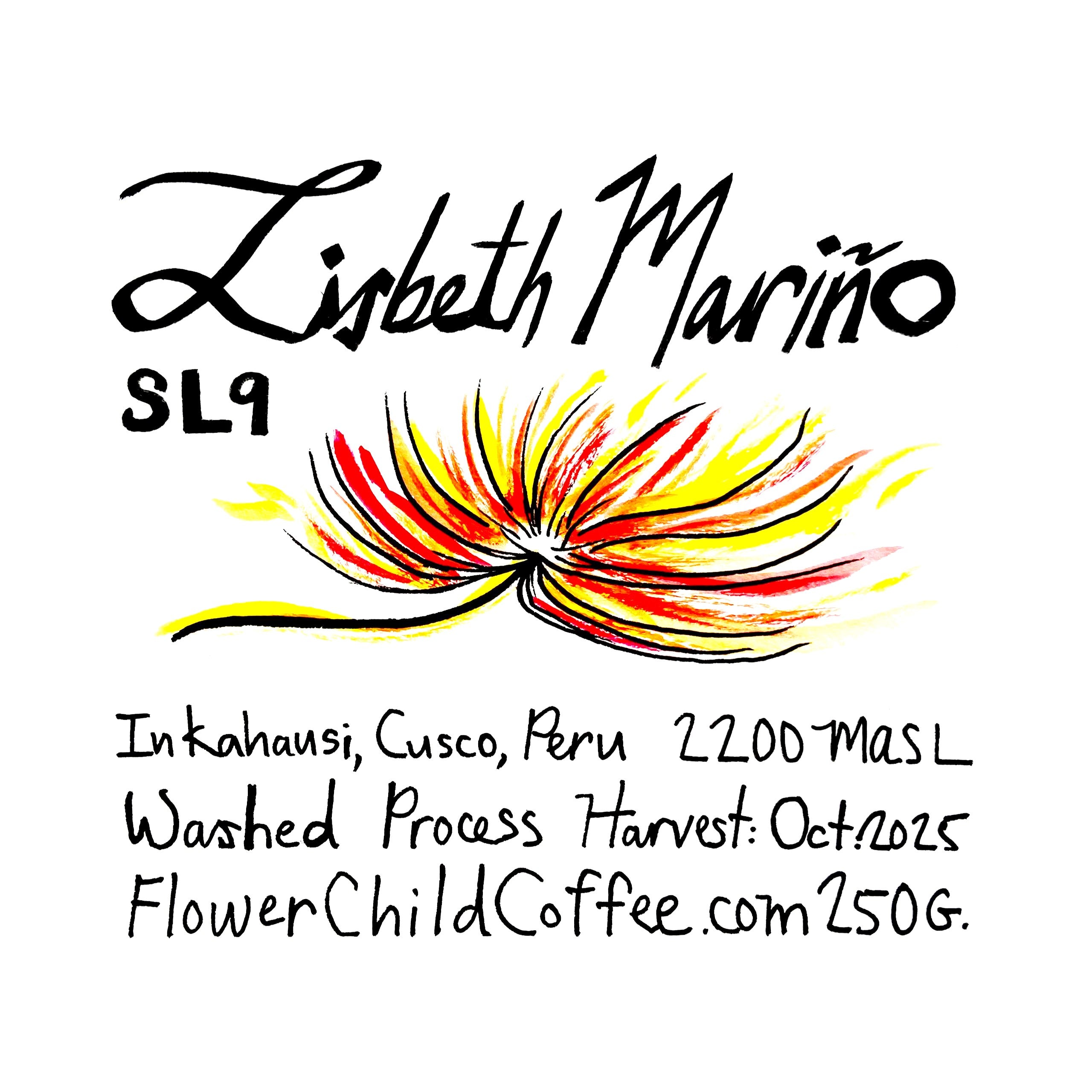 Peru Lisbeth Mariño SL9 Washed