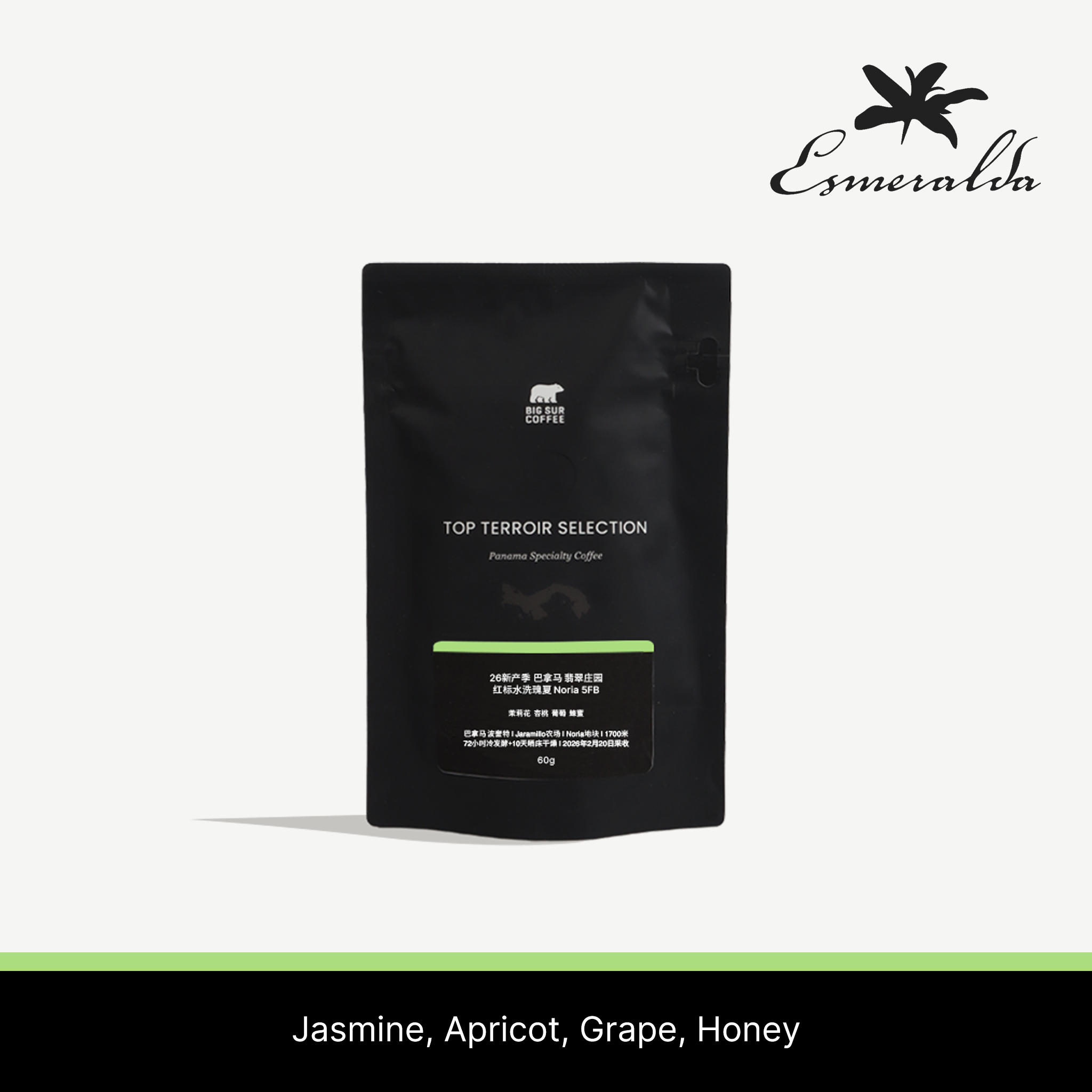 Panama Esmeralda Special Washed Geisha Noria 5FB